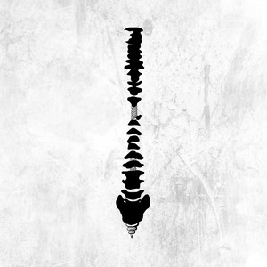 污网站大全免费
